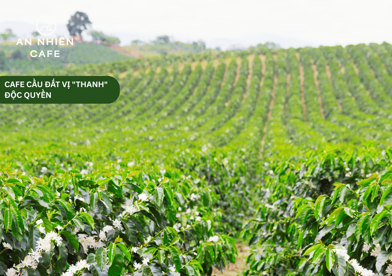 Cách pha Espresso ngon