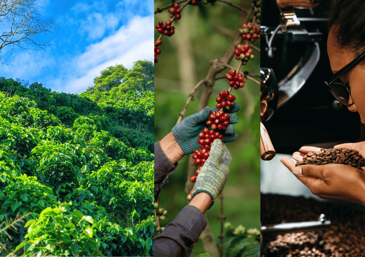 Cafe Cầu Đất Vị Thanh